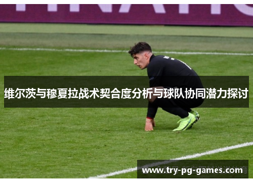 维尔茨与穆夏拉战术契合度分析与球队协同潜力探讨