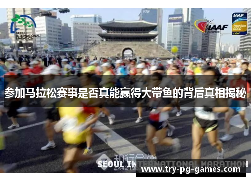 参加马拉松赛事是否真能赢得大带鱼的背后真相揭秘