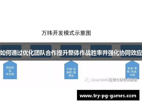 如何通过优化团队合作提升整体作战胜率并强化协同效应