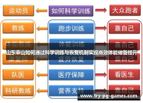 山东泰山如何通过科学训练与恢复机制实现高效体能储备提升