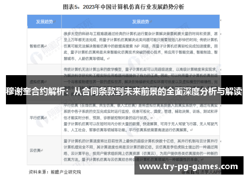 穆谢奎合约解析：从合同条款到未来前景的全面深度分析与解读