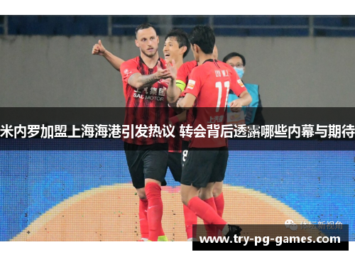 米内罗加盟上海海港引发热议 转会背后透露哪些内幕与期待